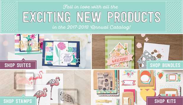 Exciting new products!